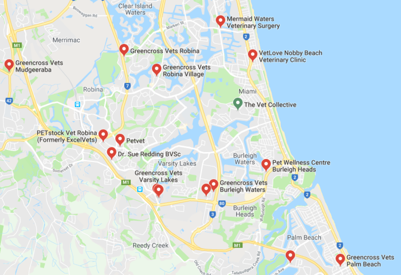 Why Your Practice Needs Google My Business Why Your Practice Needs Google My Business